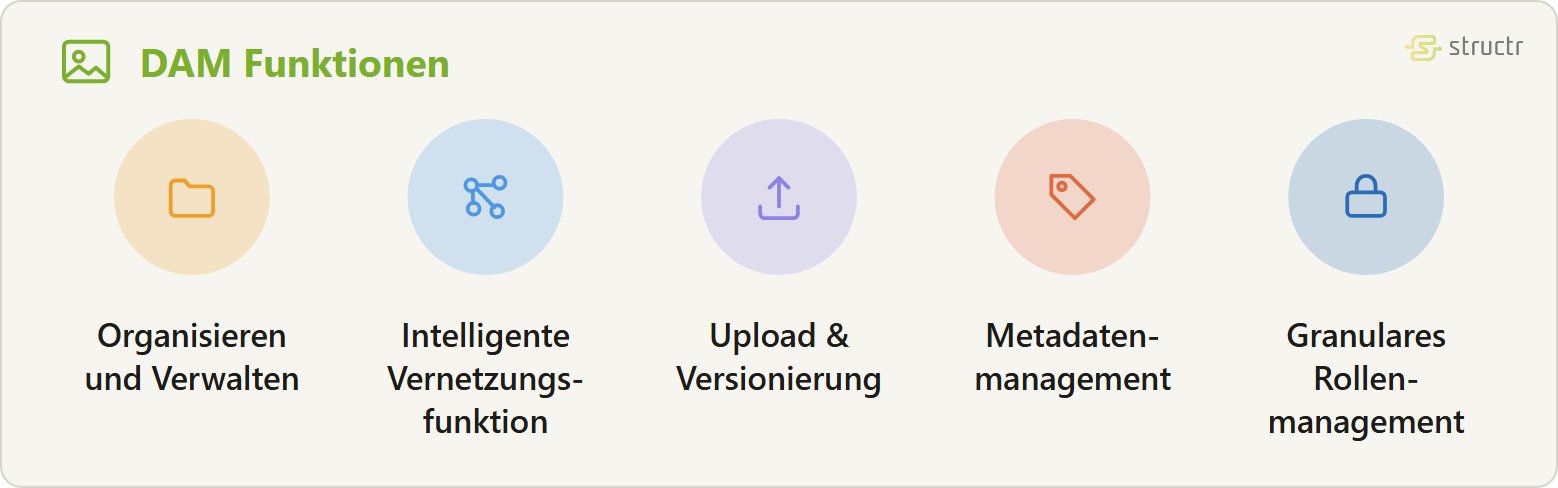 Icon-Reihe der DAM Funktionen: Organisieren und Verwalten, Intelligente Vernetzungsfunktion, Upload &amp; Versionierung, Metadaten- management und Granulares Rollenmanagement.