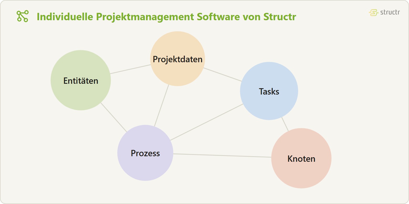 Objektgraph einer Projektmanagement Software: die Knoten Entitäten, Projektdaten, Tasks, Prozess und Knoten sind ohne Hierarchie netzartig miteinander verknüpft.